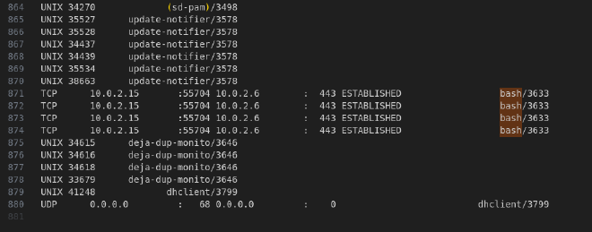 netstat